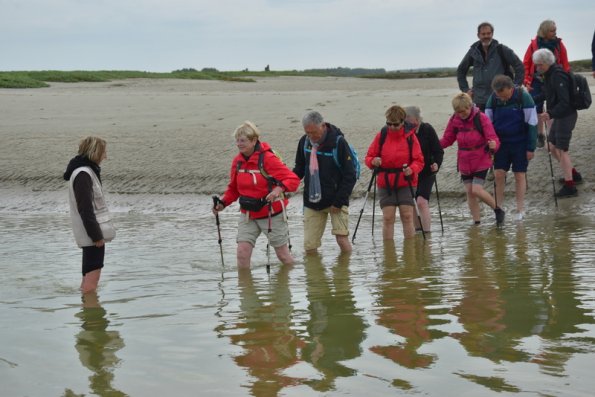 4 Baie de Somme (8)